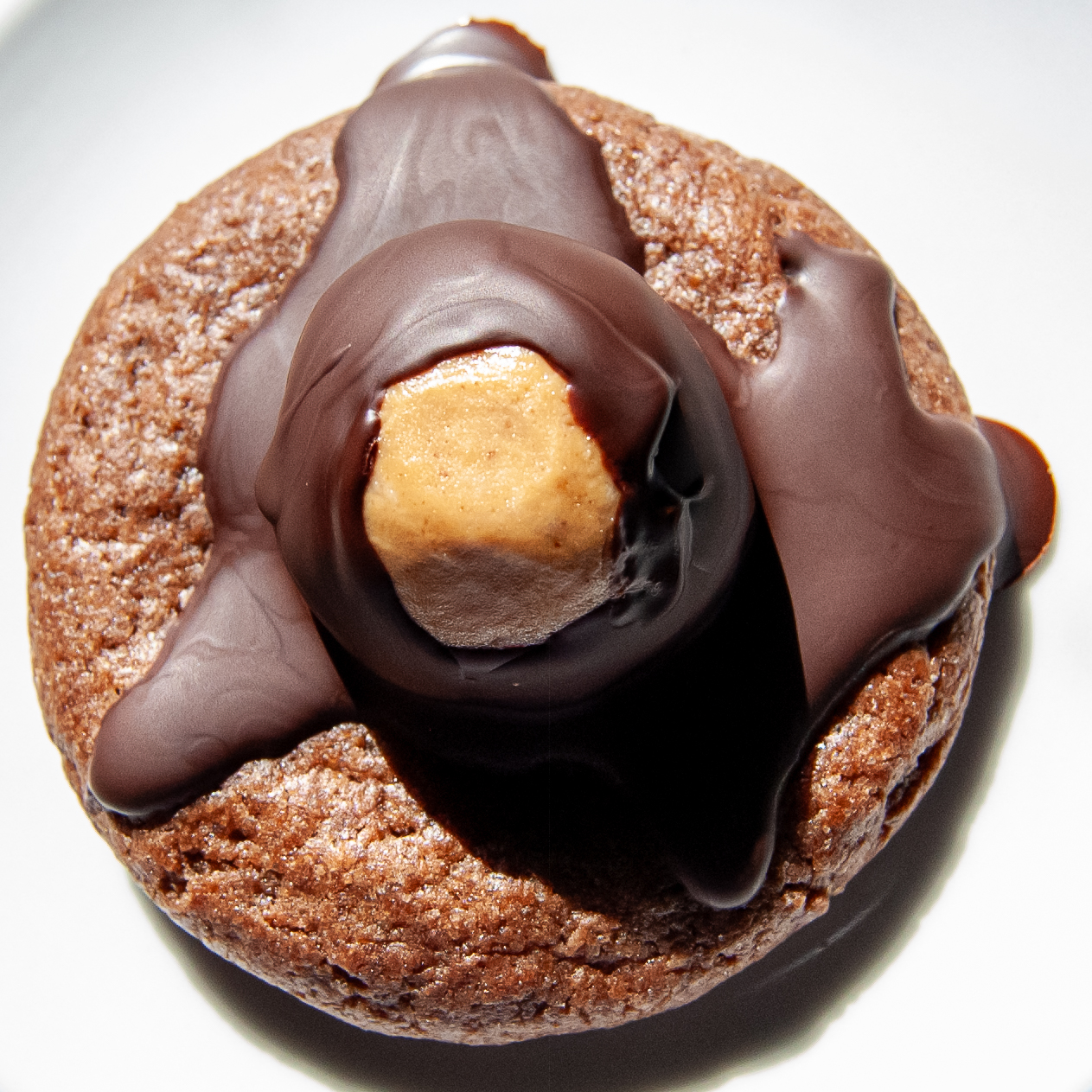 Image of a decadent peanut butter and chocolate cookie.