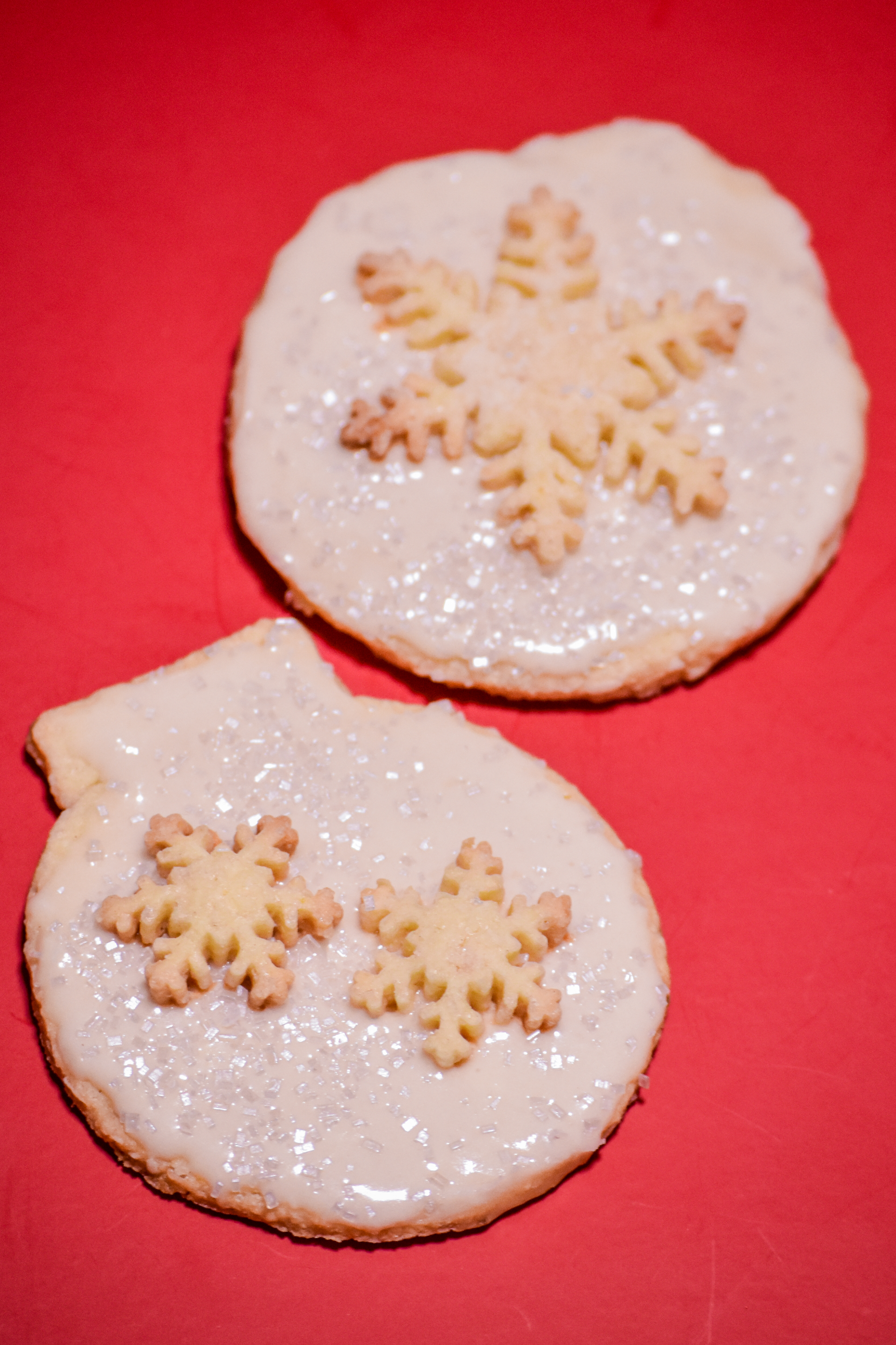 Image of a cutout cookie.