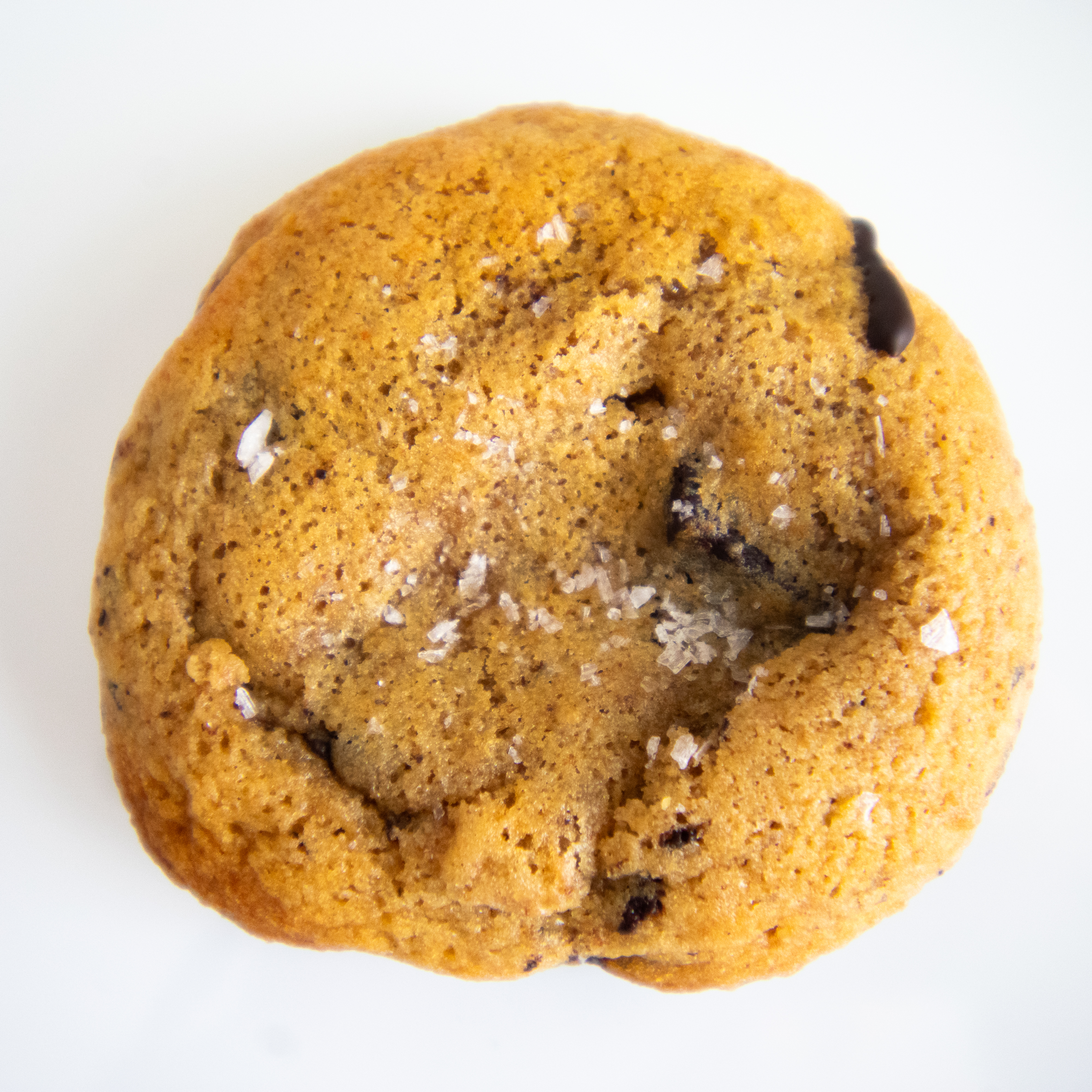 Image of a sourdough chocolate chip cookie