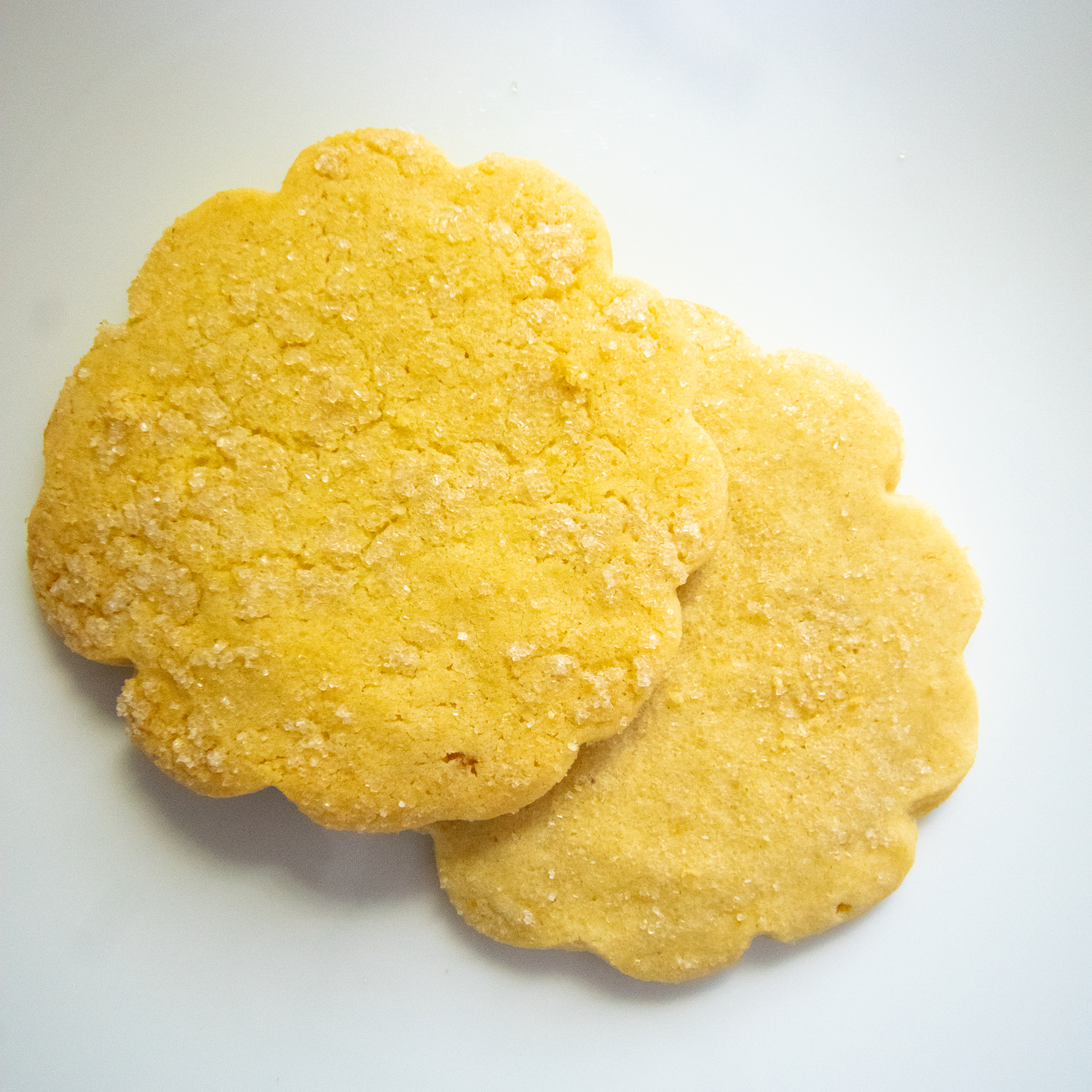 Image of a beautiful sugar cookie.